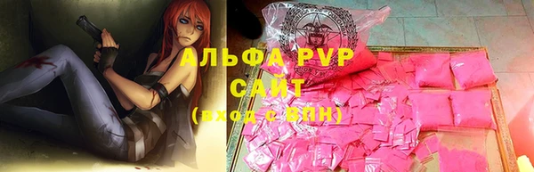 индика Протвино