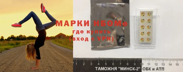индика Протвино