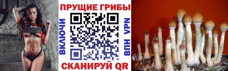 Псилоцибиновые грибы ЛСД  купить закладку  Волоколамск 